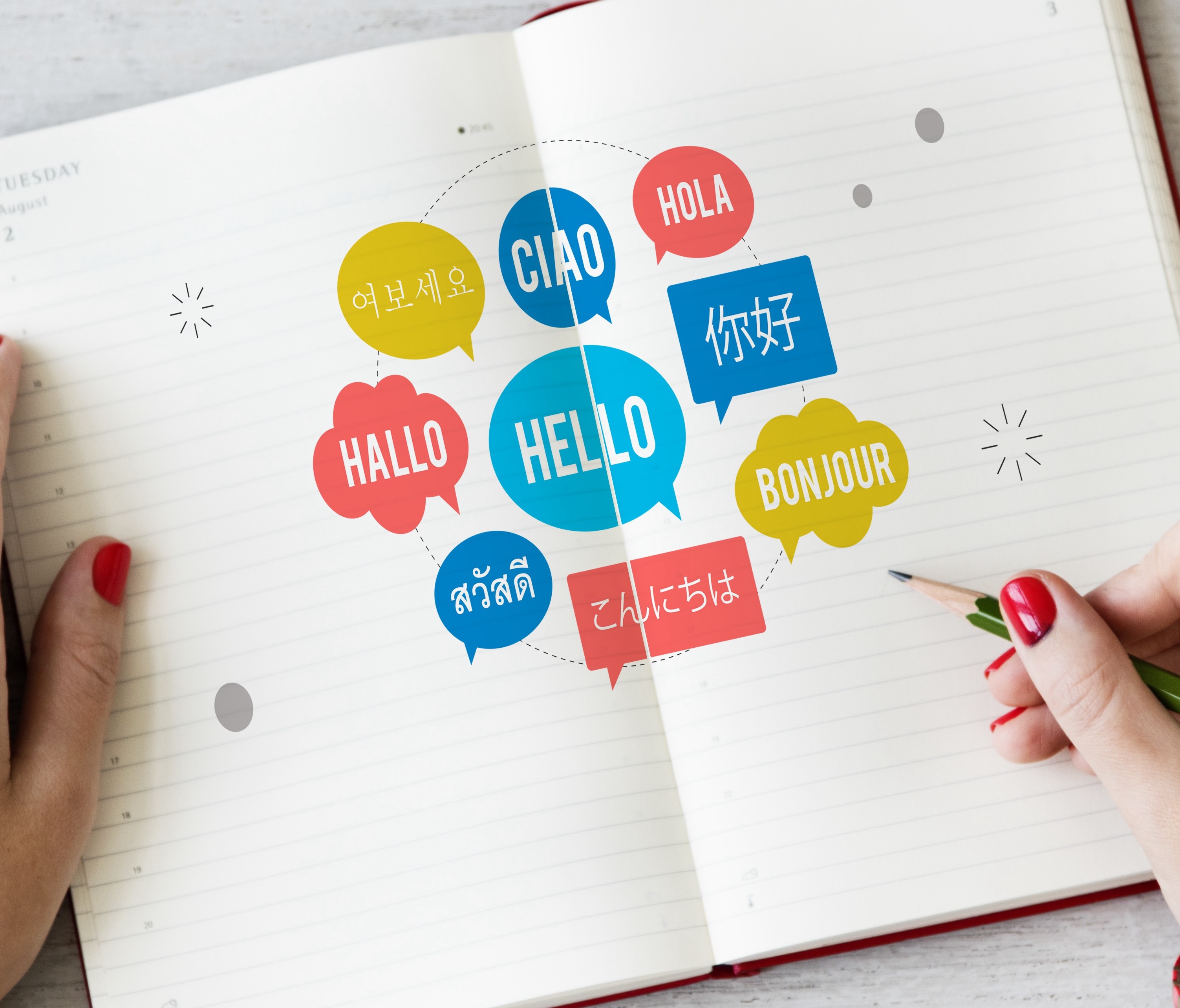 Translation and support services